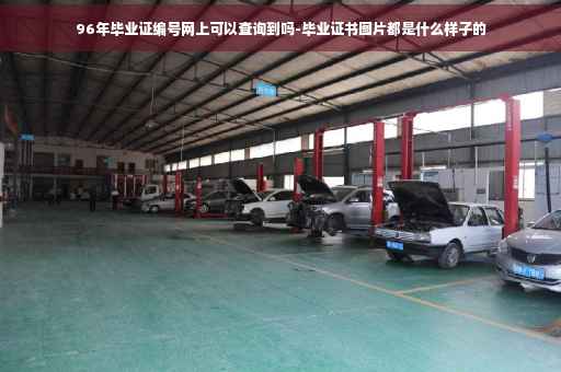 96年毕业证编号网上可以查询到吗-毕业证书图片都是什么样子的