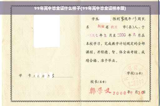 99年高中毕业证什么样子(99年高中毕业证样本图)