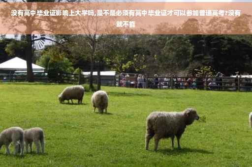 没有高中毕业证影响上大学吗,是不是必须有高中毕业证才可以参加普通高考?没有就不能 没有高中毕业证影响上大学吗,是不是必须有高中毕业证才可以参加普通高考?没有就不能