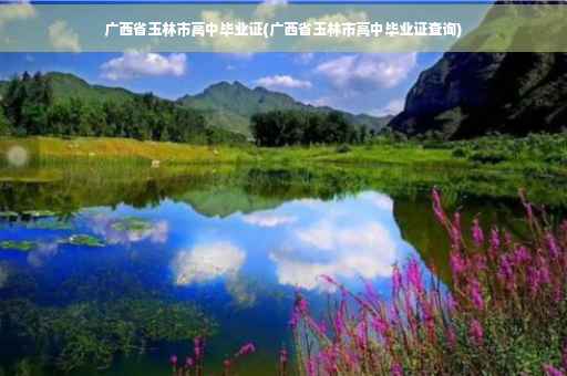 广西省玉林市高中毕业证(广西省玉林市高中毕业证查询)