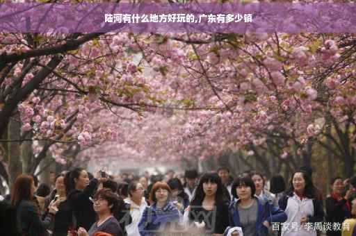 陆河有什么地方好玩的,广东有多少镇