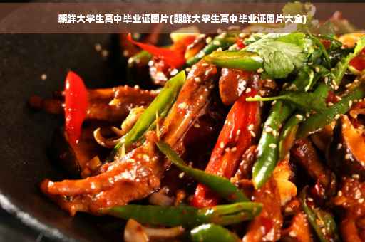 朝鲜大学生高中毕业证图片(朝鲜大学生高中毕业证图片大全)