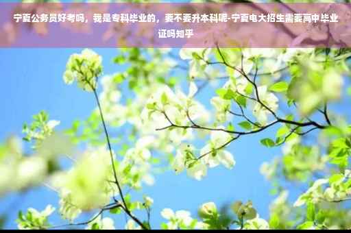 宁夏公务员好考吗，我是专科毕业的，要不要升本科呢-宁夏电大招生需要高中毕业证吗知乎