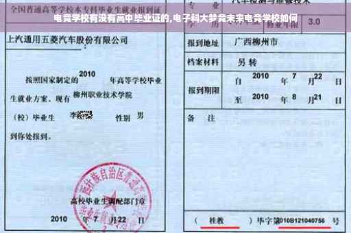 电竞学校有没有高中毕业证的,电子科大梦竞未来电竞学校如何