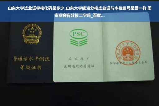 山东大学毕业证学校代码是多少,山东大学威海分校毕业证与本校编号是否一样 同专业会有分校二字吗_百度...
