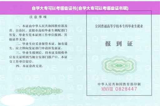 自学大专可以考哪些证书(自学大专可以考哪些证书呢)