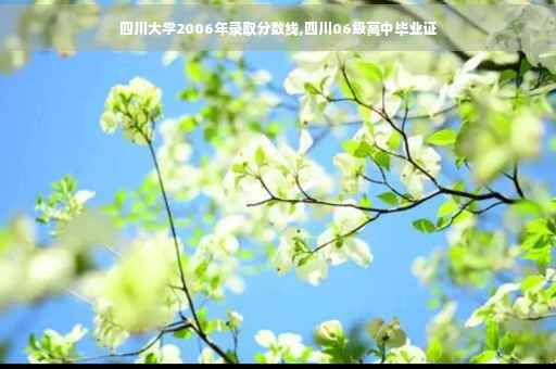 四川大学2006年录取分数线,四川06级高中毕业证