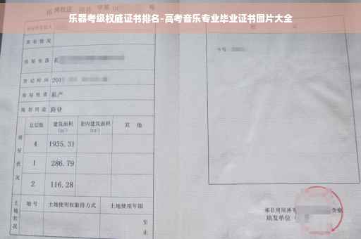 乐器考级权威证书排名-高考音乐专业毕业证书图片大全