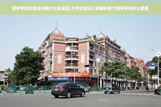 初中学生毕业证书图片大全高清,大学毕业证上的编码各个数字各是什么意思