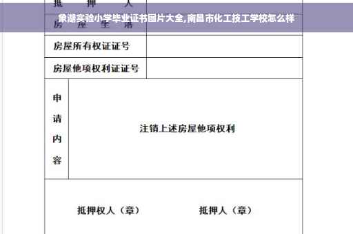 社区居民委员会出具的房产情况说明，效力如何,工作工作证明证明