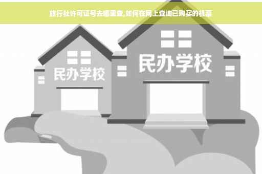 旅行社许可证号去哪里查,如何在网上查询已购买的机票