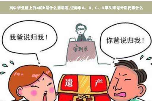 高中毕业证上的a和b是什么意思啊,证券中A、B、C、D字头账号分别代表什么