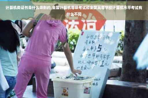 计算机类证书是什么级别的,全国计算机等级考试和全国高等学校计算机水平考试有什么不同