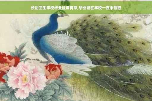 长治卫生学校毕业证没有拿,毕业证在学校一直未领取