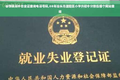 谷饶镇高中毕业证查询电话号码,08年汕头市潮阳区小学升初中分数在哪个网站查询