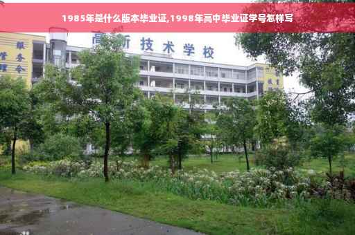 1985年是什么版本毕业证,1998年高中毕业证学号怎样写