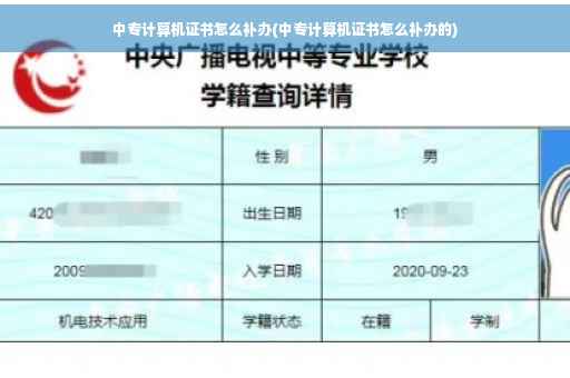 中专计算机证书怎么补办(中专计算机证书怎么补办的)