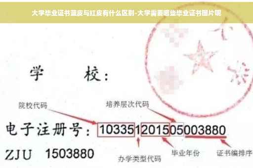 大学毕业证书蓝皮与红皮有什么区别-大学需要哪些毕业证书图片呢