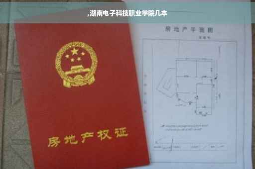 ,湖南电子科技职业学院几本