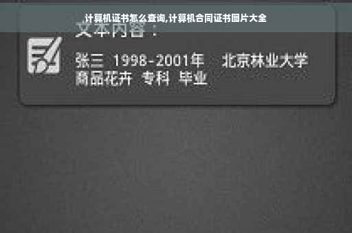 计算机证书怎么查询,计算机合同证书图片大全