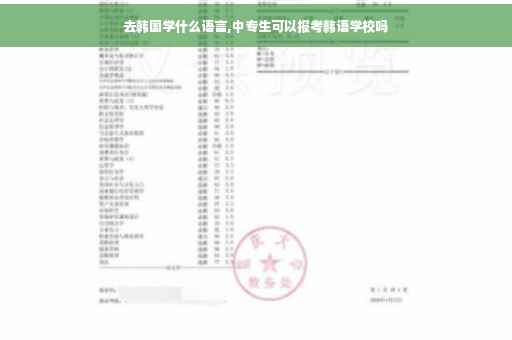 去韩国学什么语言,中专生可以报考韩语学校吗