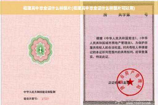 福建高中毕业证什么样图片(福建高中毕业证什么样图片可以用)