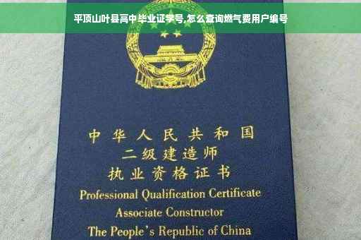 平顶山叶县高中毕业证学号,怎么查询燃气费用户编号