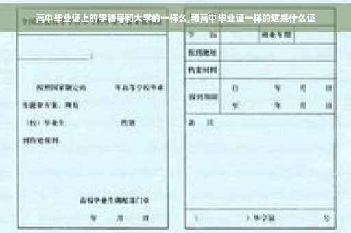 高中毕业证上的学籍号和大学的一样么,和高中毕业证一样的这是什么证