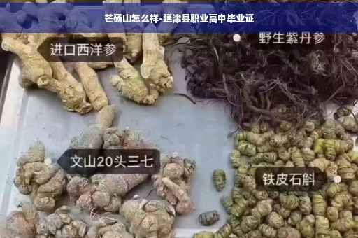芒砀山怎么样-延津县职业高中毕业证