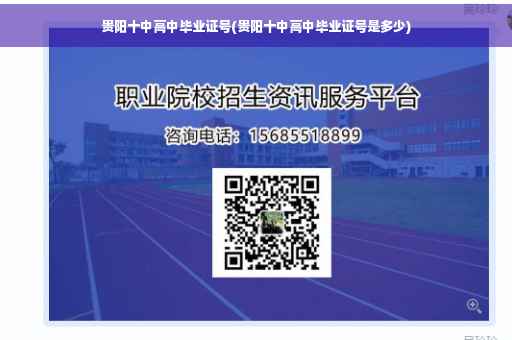 贵阳十中高中毕业证号(贵阳十中高中毕业证号是多少)