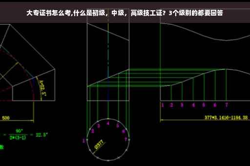 大专证书怎么考,什么是初级，中级，高级技工证？3个级别的都要回答