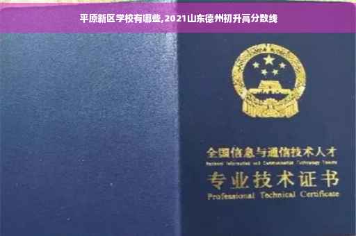 平原新区学校有哪些,2021山东德州初升高分数线