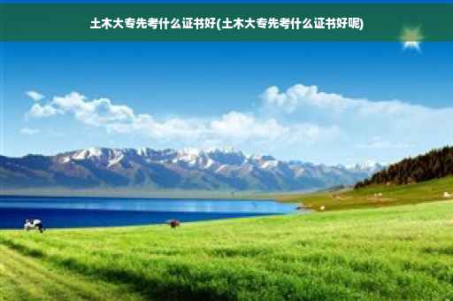 土木大专先考什么证书好(土木大专先考什么证书好呢)