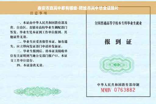 泰安市直高中都有哪些-肥城市高中毕业证图片
