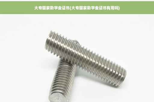 大专国家助学金证书(大专国家助学金证书有用吗)