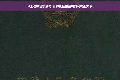 it工程师证怎么考-计算机应用证书如何考到大学