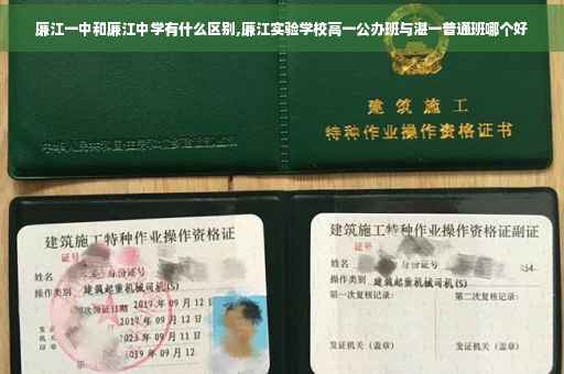 廉江一中和廉江中学有什么区别,廉江实验学校高一公办班与湛一普通班哪个好