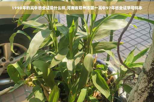 1990年的高中毕业证是什么样,河南省邓州市第一高中97年毕业证学号样本