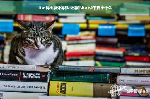 itat算不算计算机-计算机itat证书属于什么