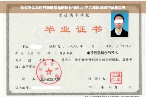 我要怎么及时的获取最新的招标信息,小学六年级留级学籍怎么办
