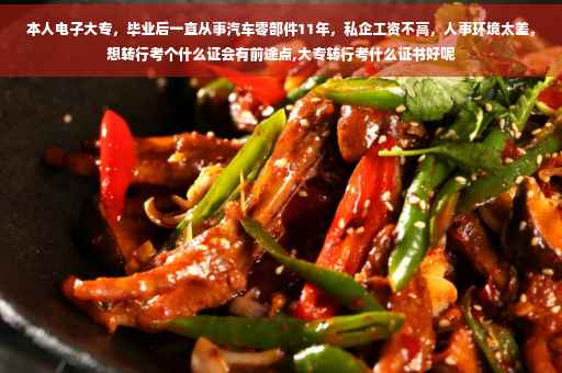 本人电子大专，毕业后一直从事汽车零部件11年，私企工资不高，人事环境太差，想转行考个什么证会有前途点,大专转行考什么证书好呢