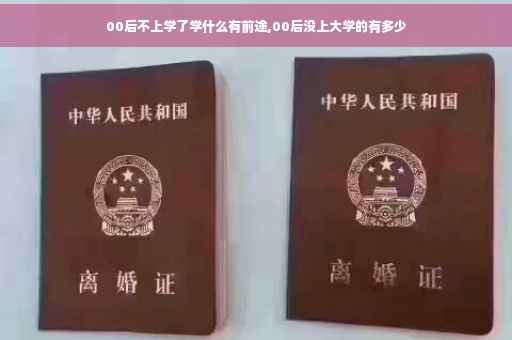 00后不上学了学什么有前途,00后没上大学的有多少