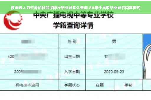 陕西省人力资源和社会保障厅毕业证怎么查询,80年代高中毕业证书内容格式