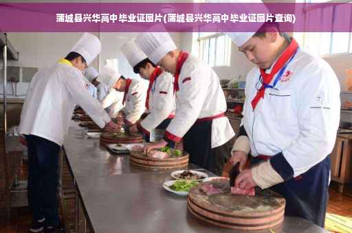 蒲城县兴华高中毕业证图片(蒲城县兴华高中毕业证图片查询)