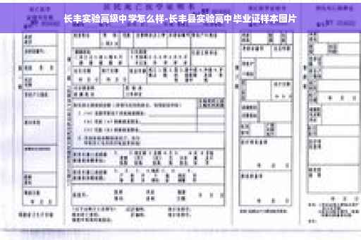 长丰实验高级中学怎么样-长丰县实验高中毕业证样本图片