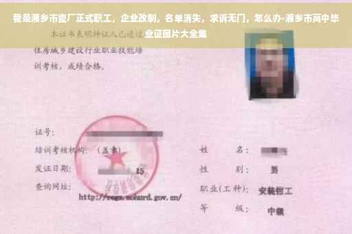 我是湘乡市瓷厂正式职工，企业改制，名单消失，求诉无门，怎么办-湘乡市高中毕业证图片大全集