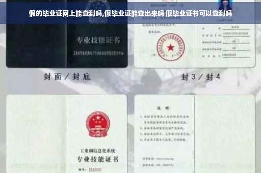 假的毕业证网上能查到吗,假毕业证能查出来吗 假毕业证书可以查到吗