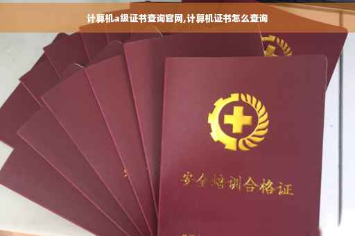 计算机a级证书查询官网,计算机证书怎么查询