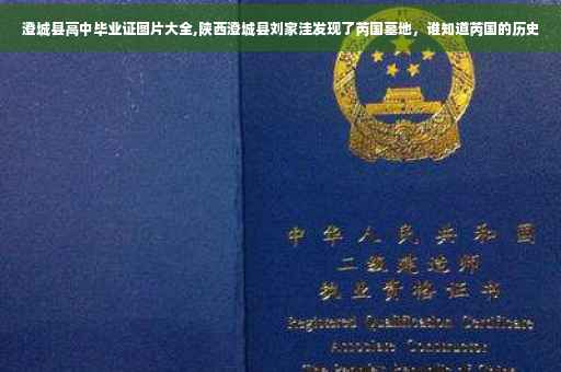 澄城县高中毕业证图片大全,陕西澄城县刘家洼发现了芮国墓地，谁知道芮国的历史