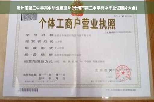 沧州市第二中学高中毕业证图片(沧州市第二中学高中毕业证图片大全)